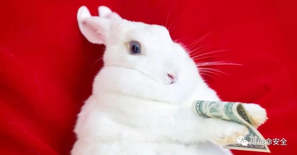¼øºÚµ£±£Íø(jhdbw)¡¤×î¾ßȨÍþΨһάȨµ£±£Æ½Ì¨